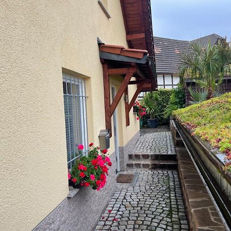 Ferienwohnung Muhlberg Seifersdorf  Exteriör bild